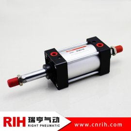 SCD雙軸復(fù)動標準氣缸